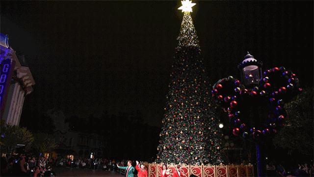 香港巨型圣诞树,香港圣诞树旅游攻略