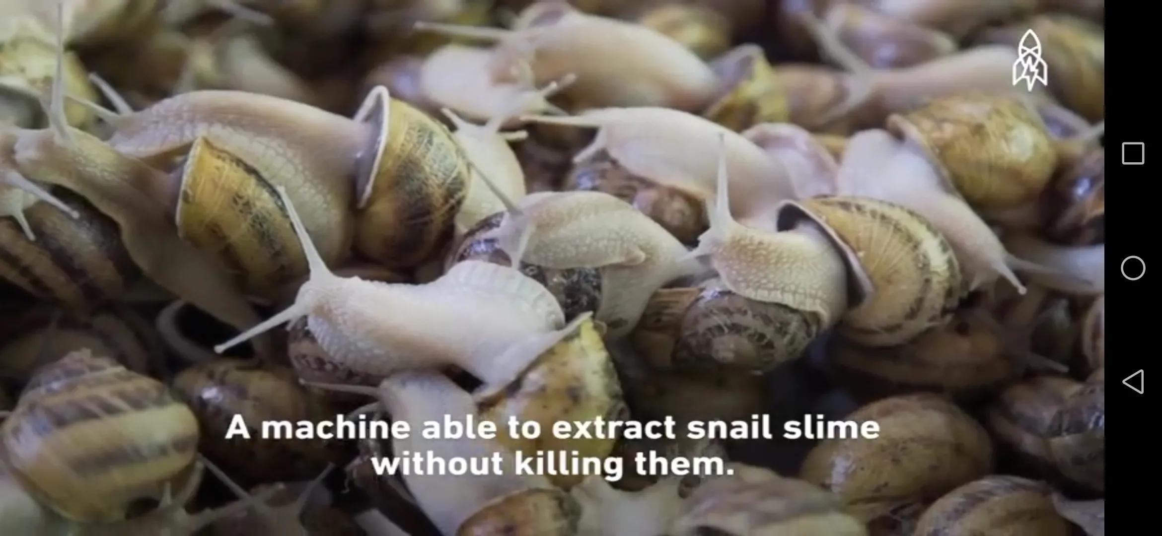 蜗牛护肤品是不是纯植物的,蜗牛的护肤品怎么这么便宜