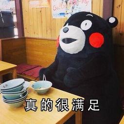 专科生考在职人员好难啊,专科生考公务员难还是考研难