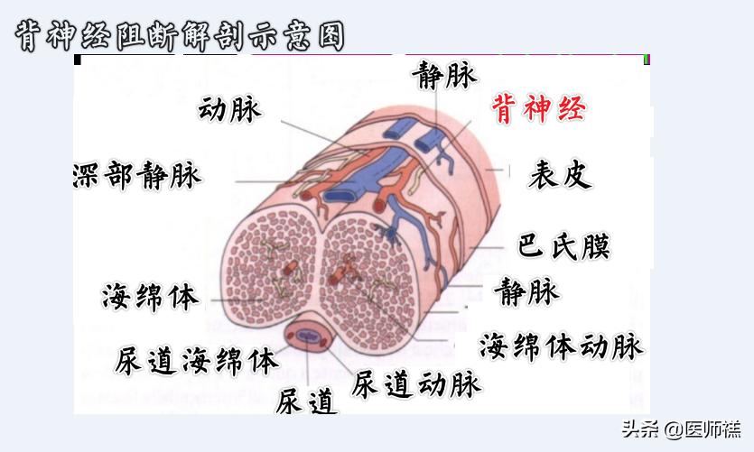 延时*剂喷**到底靠不靠谱，意外怀孕是否对胎儿发育不利？