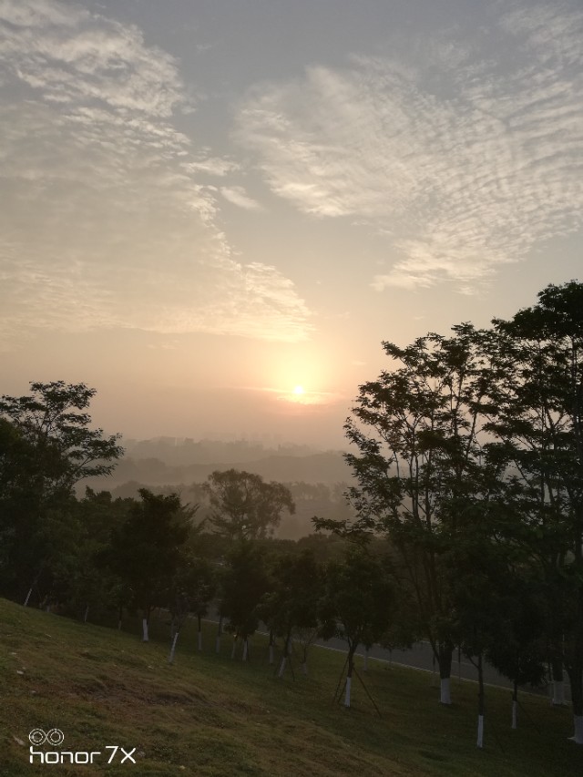 枫林诗苑诗词大全,枫林诗苑图片欣赏