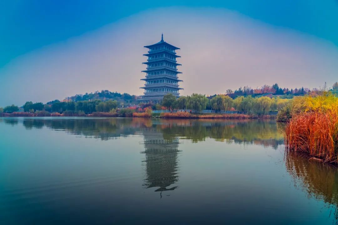 家门口的美景真的值得一游,家门口的小公园夜景太美了