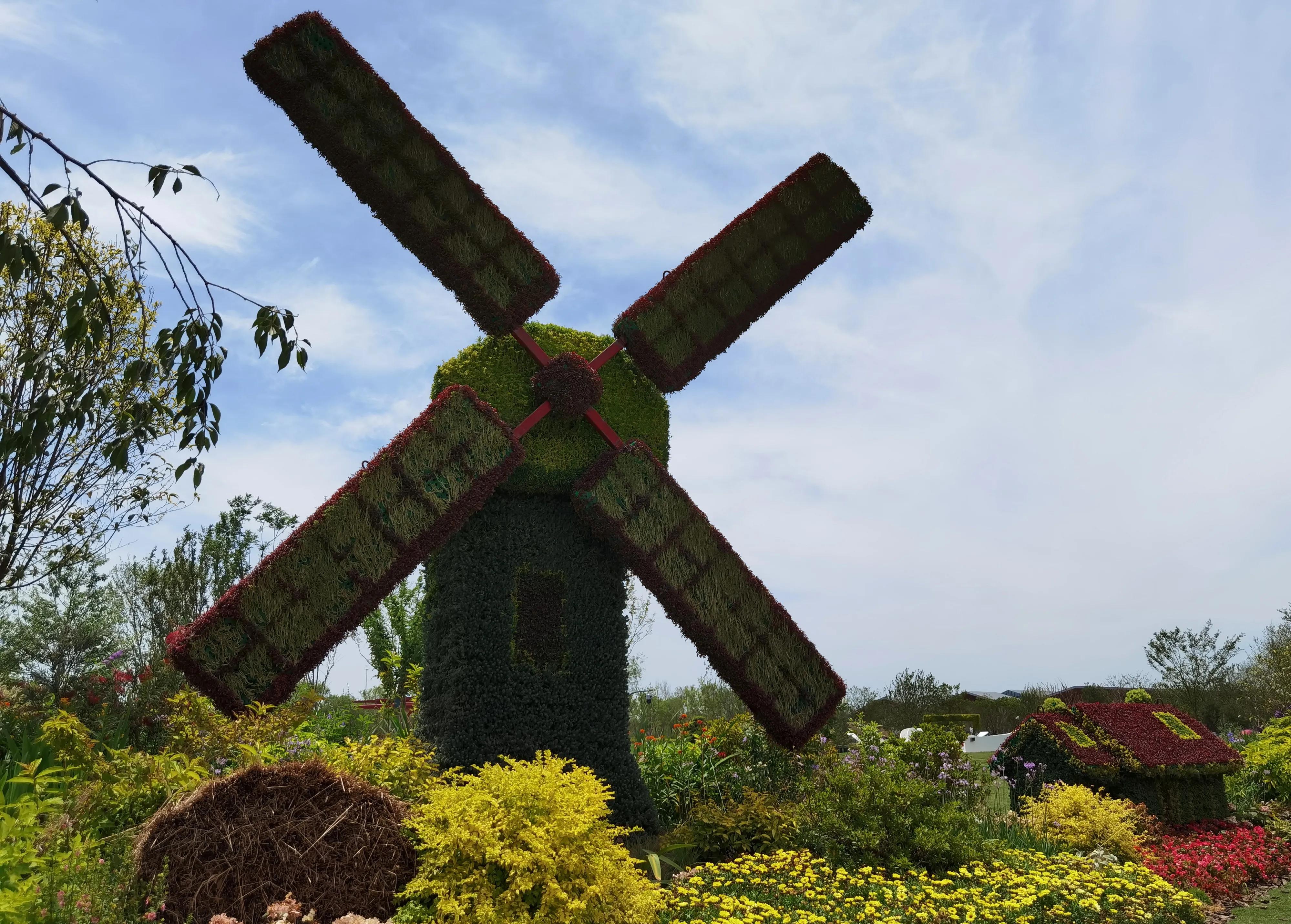 关于崇明花博会,崇明花博会全程花景