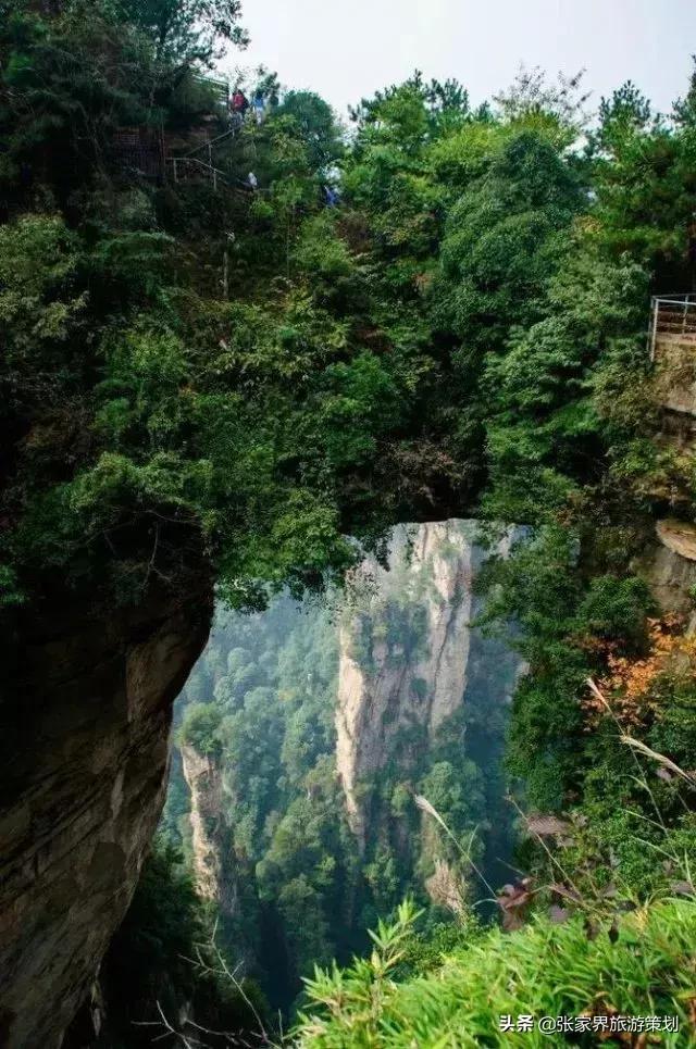 自由行张家界吃住旅游攻略,张家界旅游自由行详细攻略