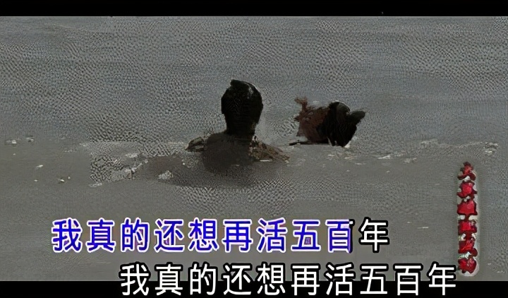 搞笑段子：骑上我心爱的小乌龟