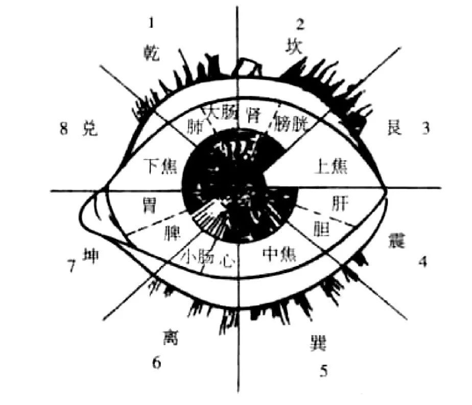 眼球巩膜在哪里,眼睛巩膜是怎么回事