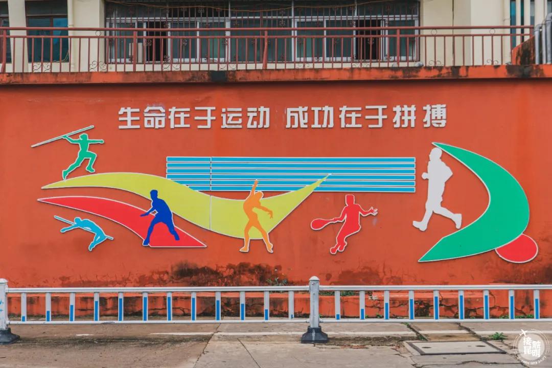 一座昆钢城半部云南史,昆明拓东体育馆和贺龙体育馆
