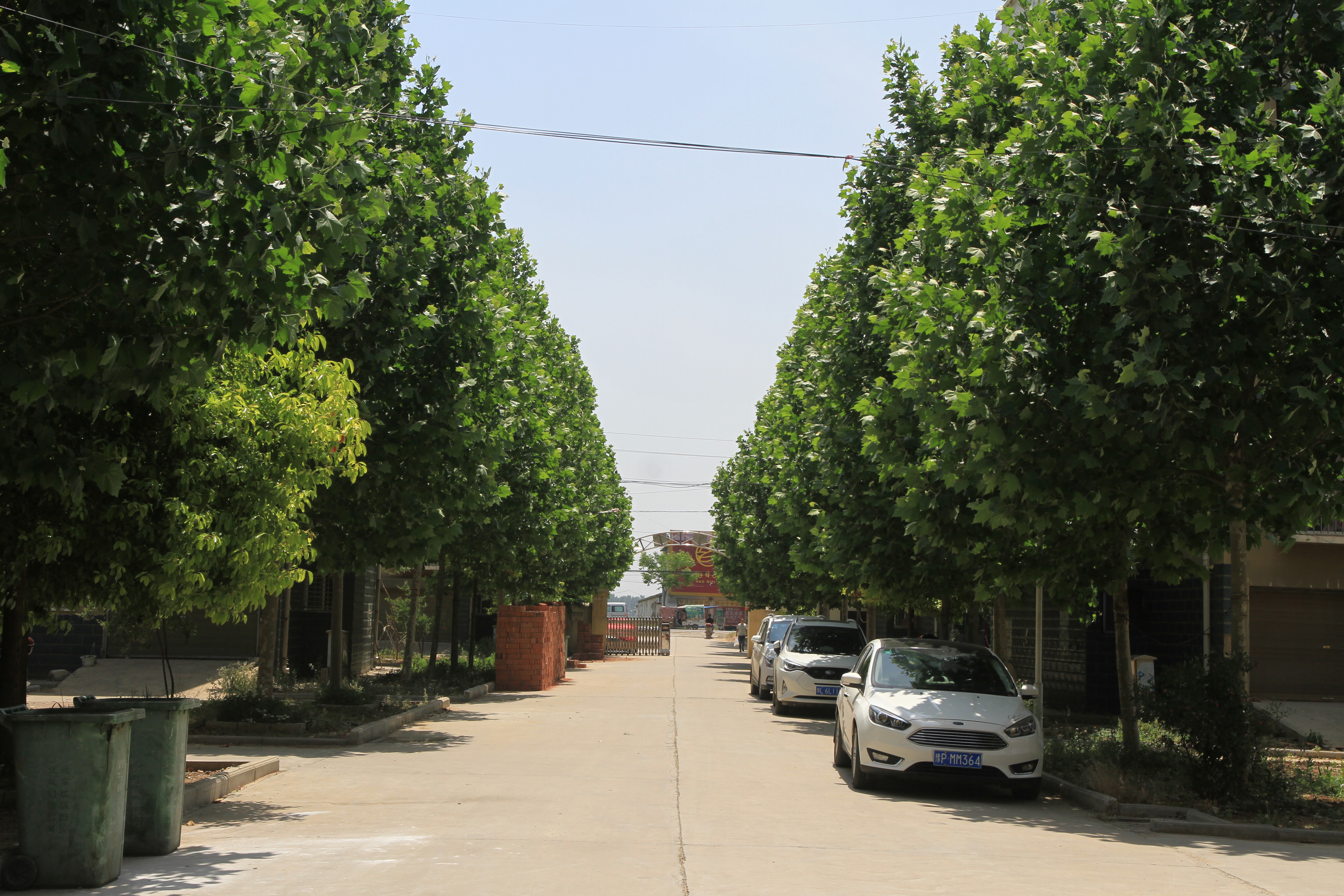 走进一百个美丽乡村第九站,走进100个美丽乡村东屯乡