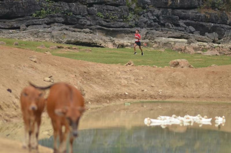2018东盟国际马拉松赛,2024马山马拉松比赛时间