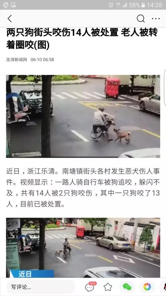 小区里出现疯狗,小区出现疯狗事件