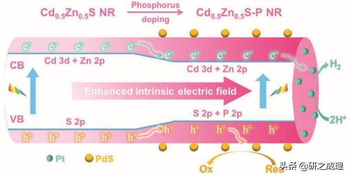 催化周报：Science、JACS、Angew、AM等大合集