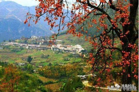 涉县最美小村庄,我的家乡山沟沟里