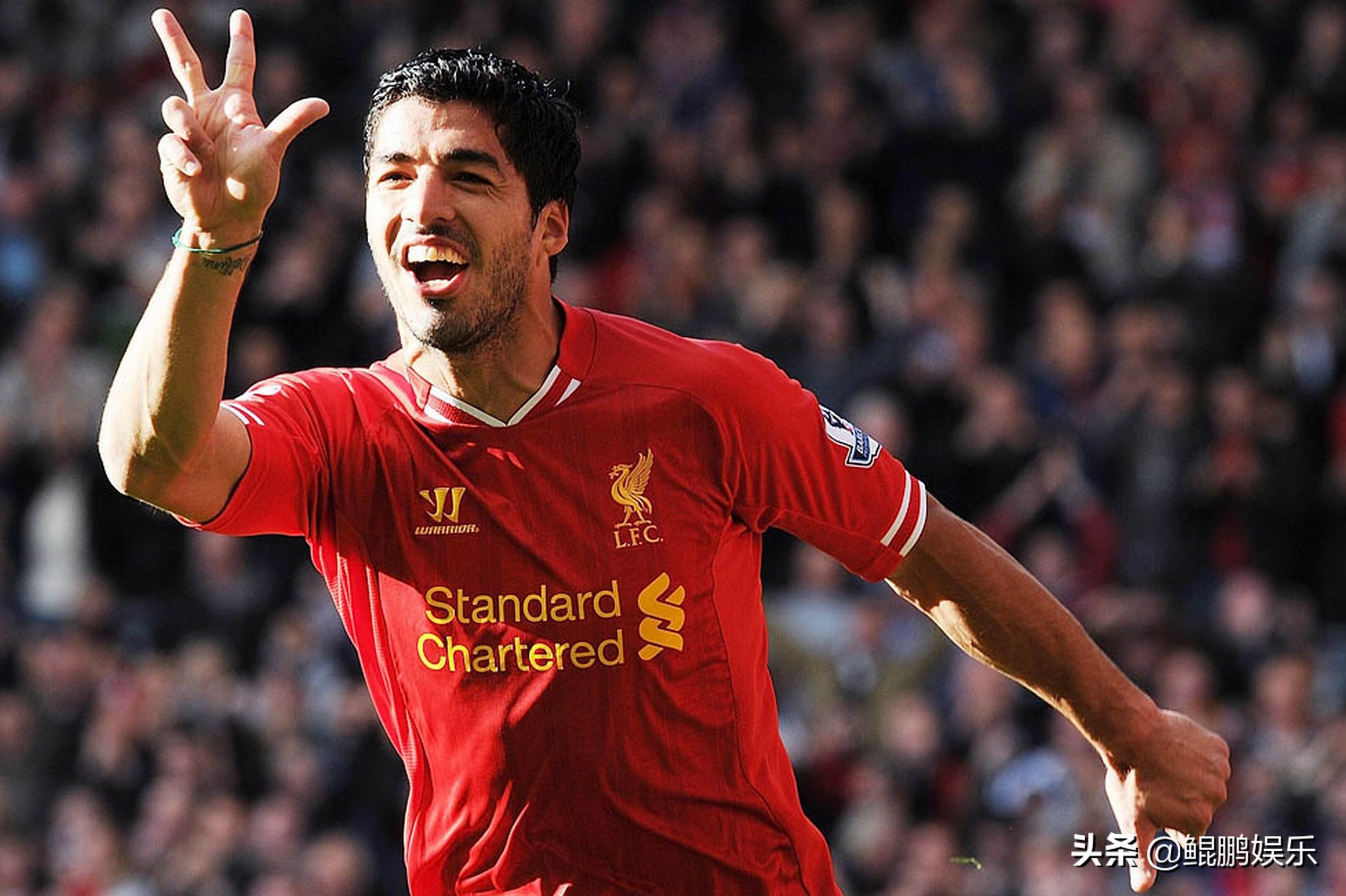 南美雄狮乌拉圭,美洲杯乌拉圭苏亚雷斯