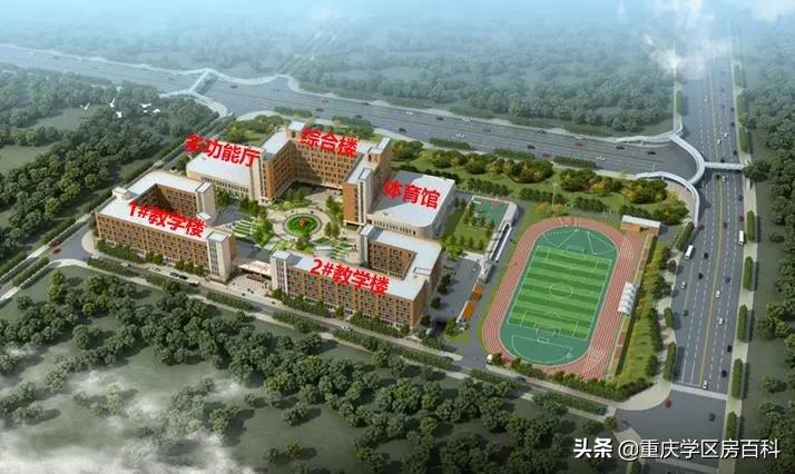 沙小、树人、七中！来看沙坪坝如何布局教育资源