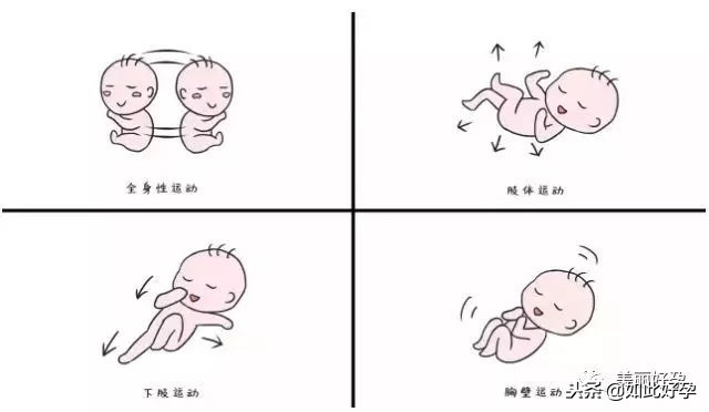 胎动肚子里有动静,胎动教你读懂胎宝宝的语言
