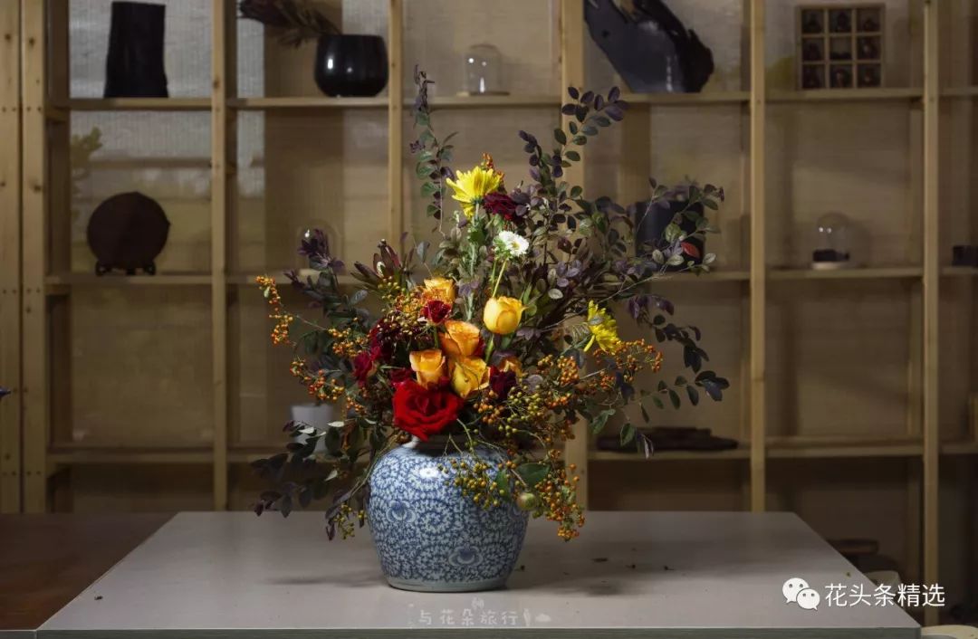 最优质的北美冬青,北美冬青性价比高的