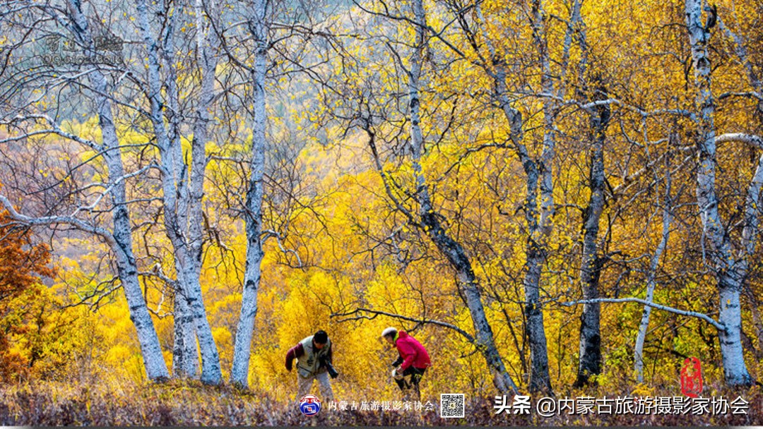 那山那水那味道,那山那水那份爱