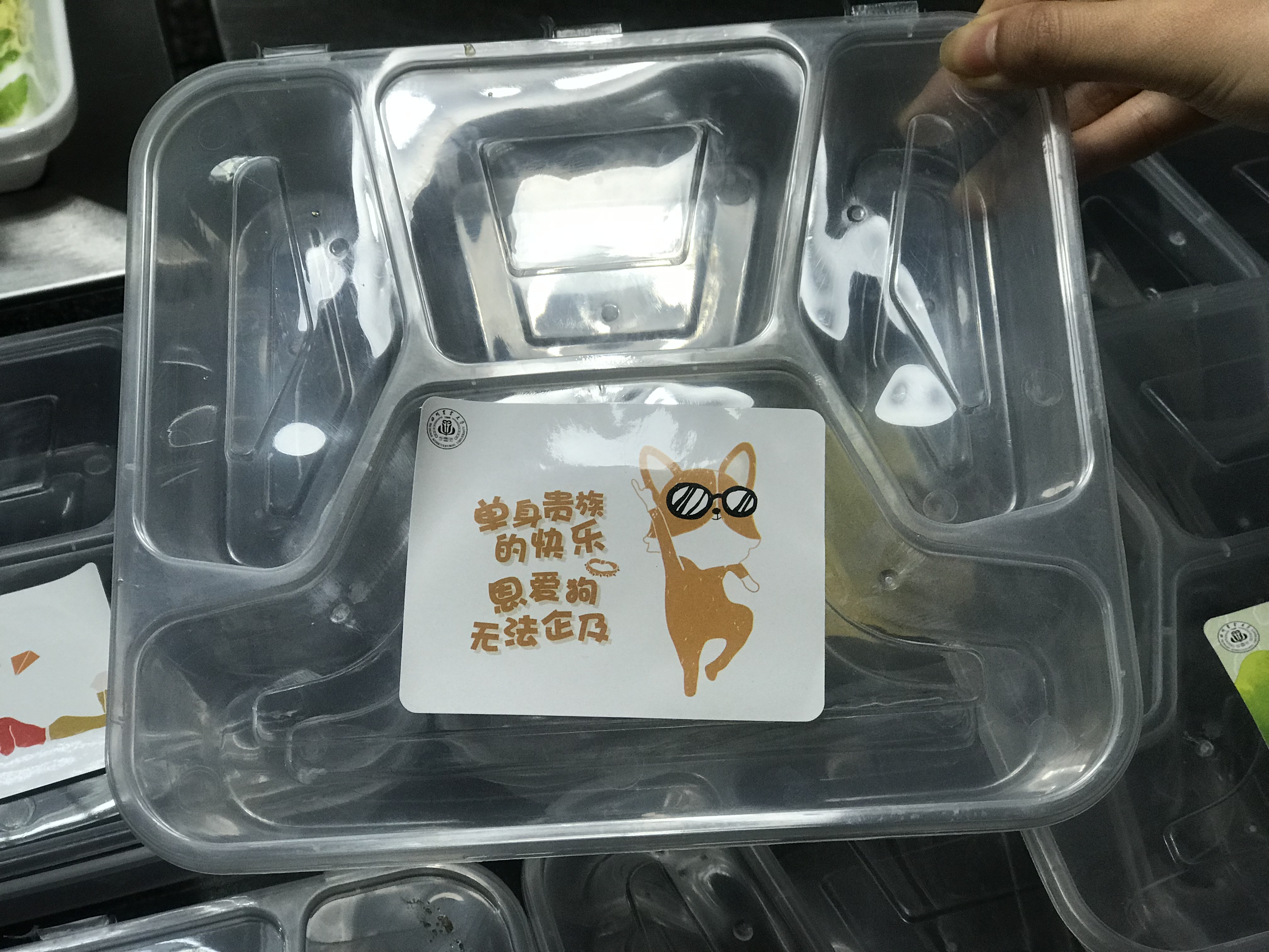 四川农业大学推出“单身毕业套餐”：价格8.8元半小时卖光