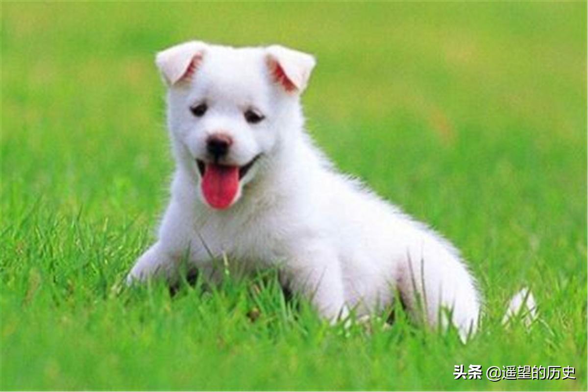 农村宅子出四喜有什么说法,古人有一句俗语宅子出四喜