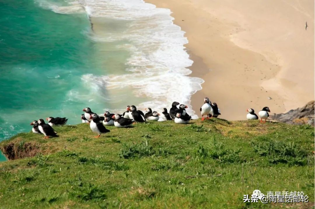 邮轮爆出一例阳性就要耗资数百万美金？