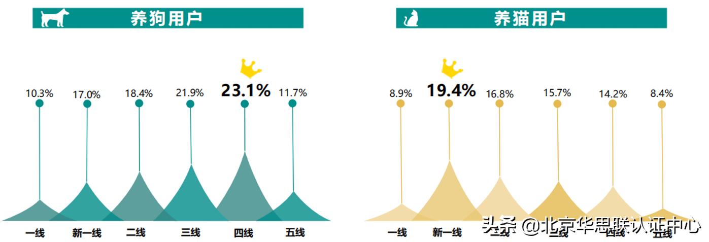 宠物电商为什么没有爆发,宠物行业电商市场