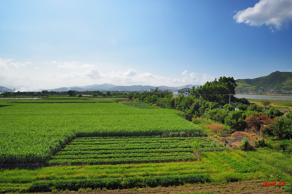 摄影就是记录流逝的时光,摄影捕捉生活的美好瞬间