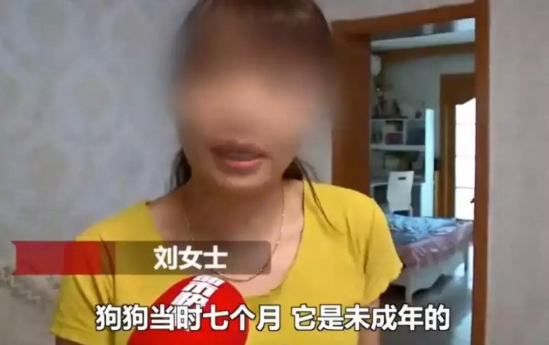 备孕家里的毛孩子怎么办,毛孩子发情期关注事项