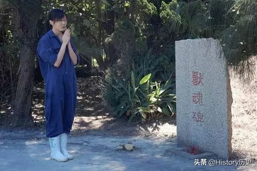 台湾给狗狗安乐死,台湾17岁狗安乐死
