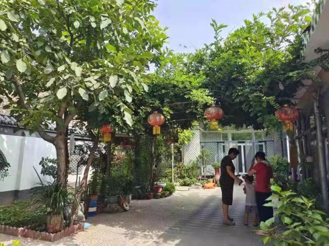 以党建为引领深化美丽庭院创建,以美丽乡村建设助力乡村振兴