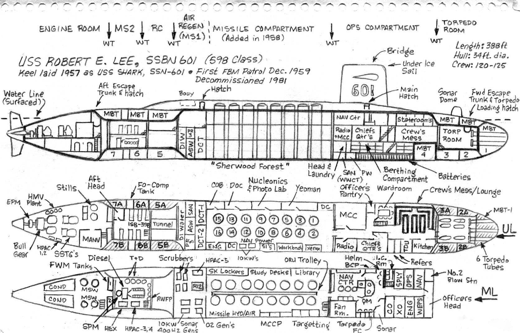 折翅海鸥,折翅的海鸥