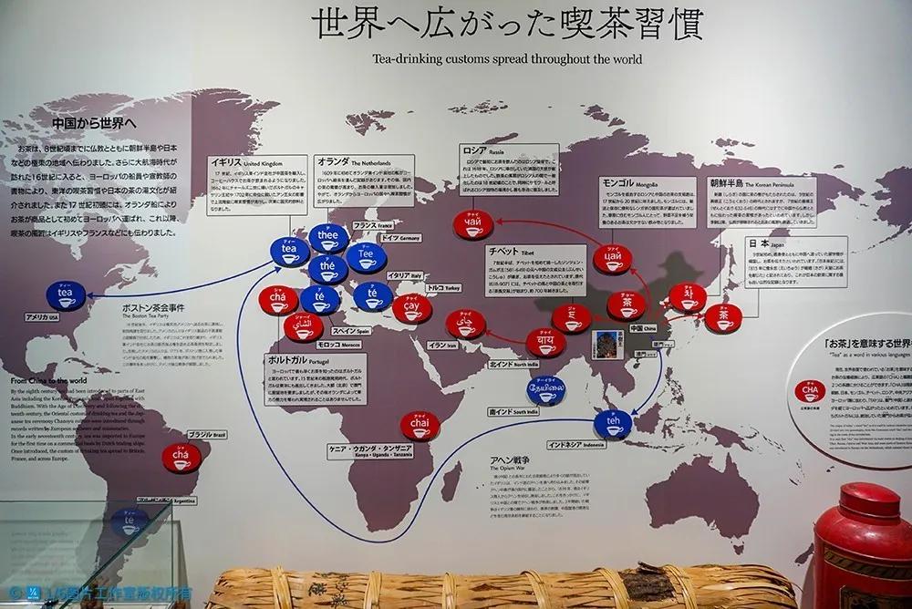 日本的茶博物馆,日本茶之都茶道体验