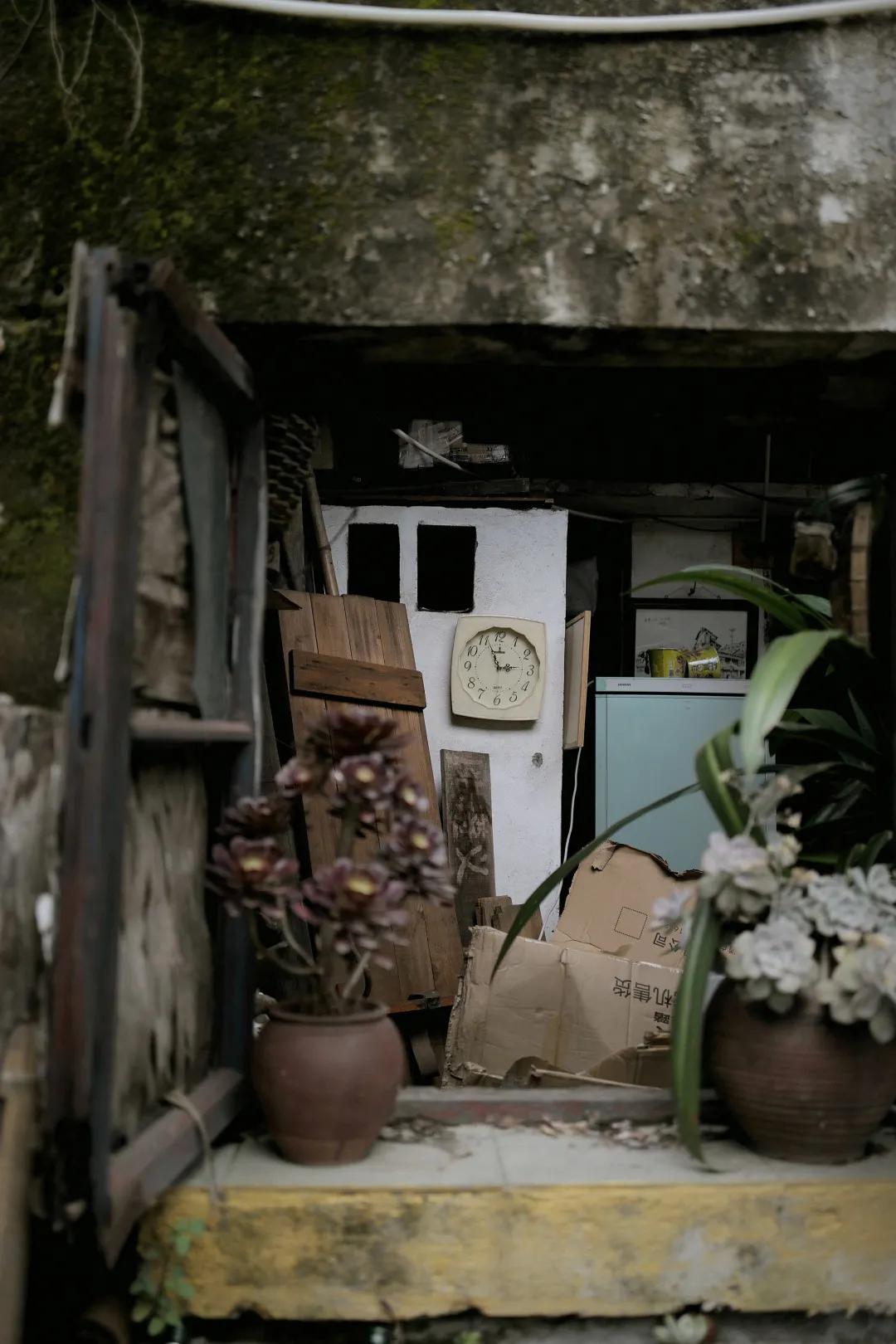 重庆哪几个月不适合旅游,重庆到底值不值得去旅游