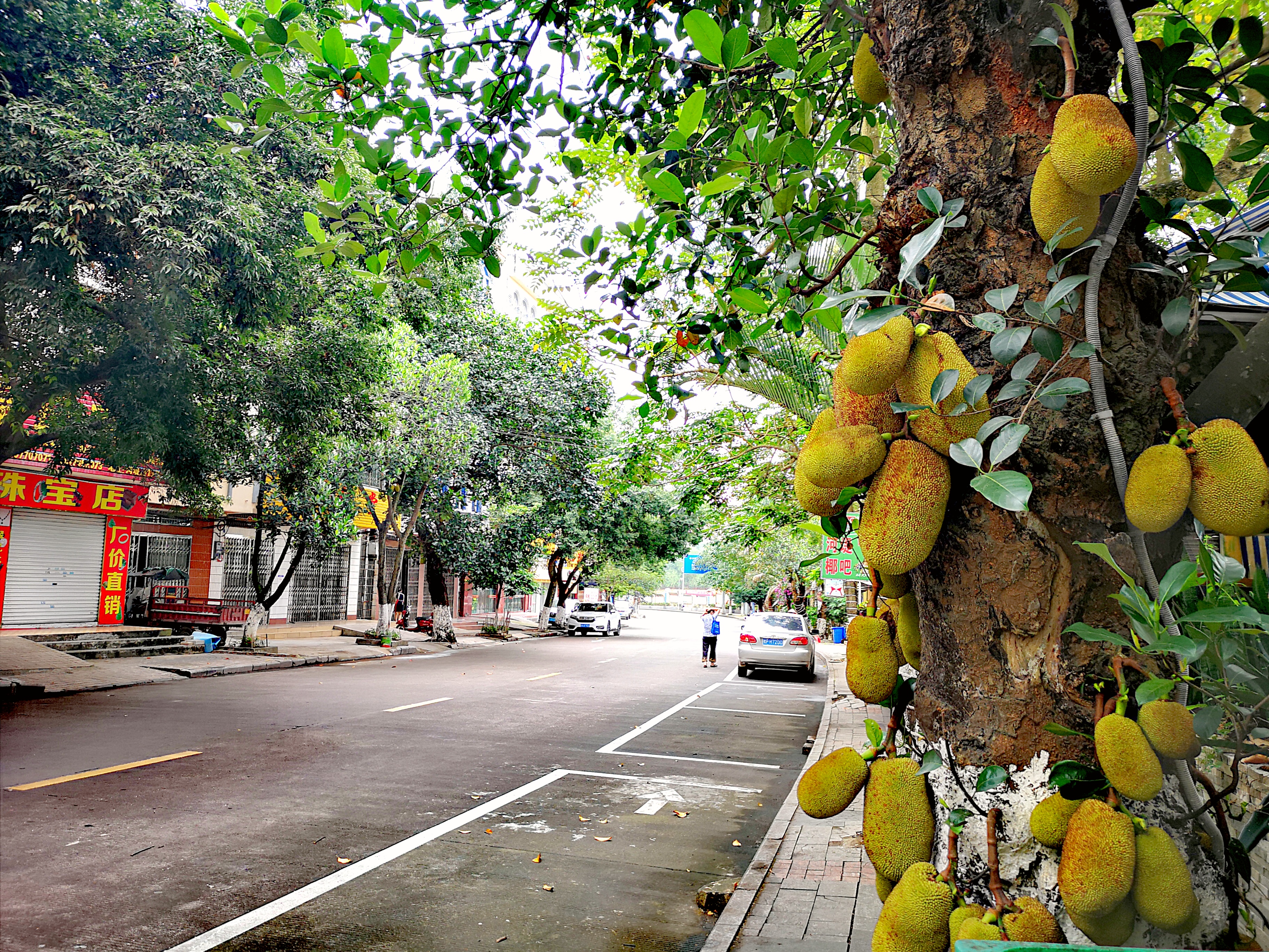 雨天东兴万尾金滩游,冬季东兴万尾金滩