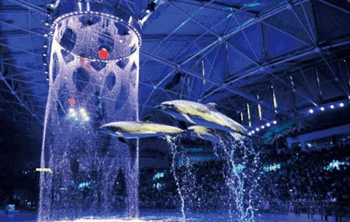 山东多个景区发布暂停开放的通知,山东景区陆续开放