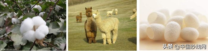 鏈嶈闈㈡枡鍩虹鐭ヨ瘑妫夋枡,鏈嶈璁捐甯堝浣曟壘闈㈡枡