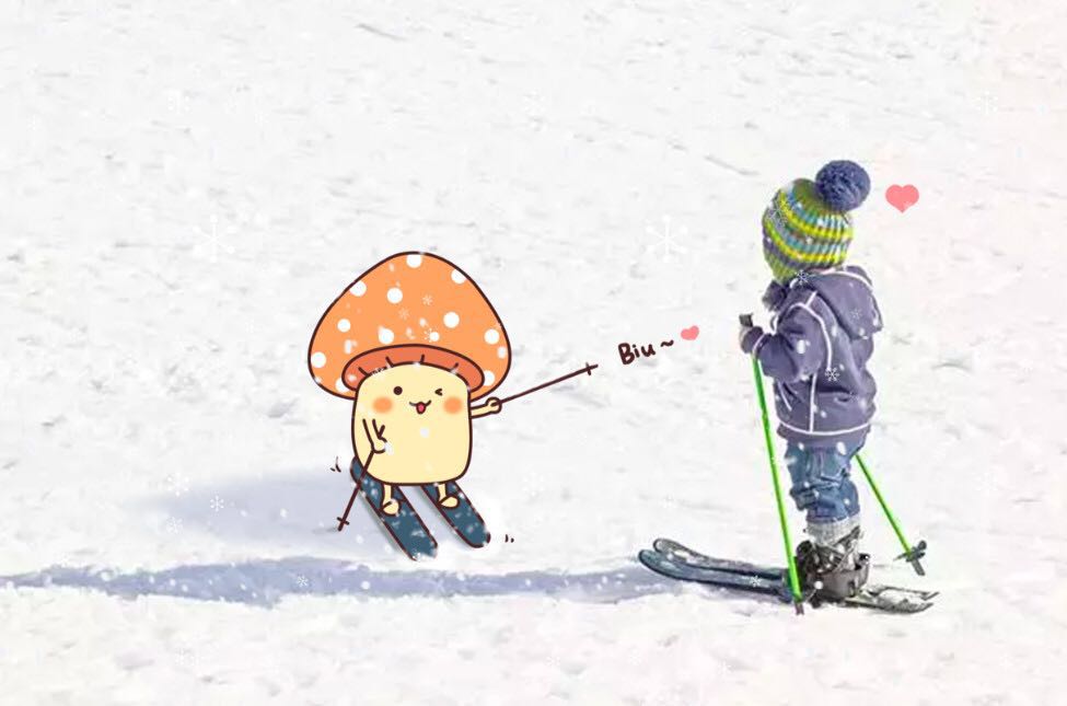 去神农架旅游攻略3天2晚,郑州到神农架自驾游最佳路线攻略