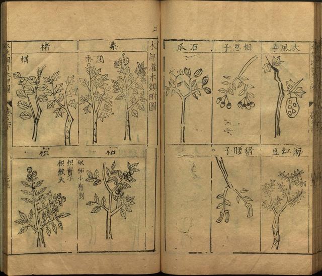 李时珍与本草纲目ppt课件,神农本草经正版李时珍书籍