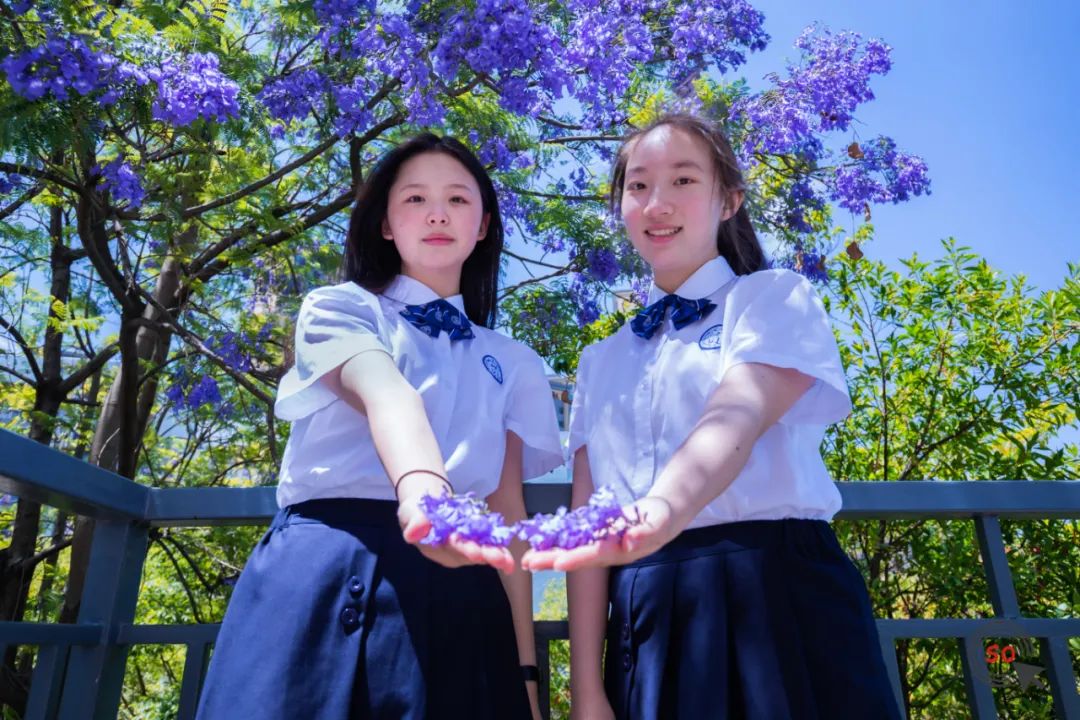 校园|遇见.初夏属于十中的紫色烂漫