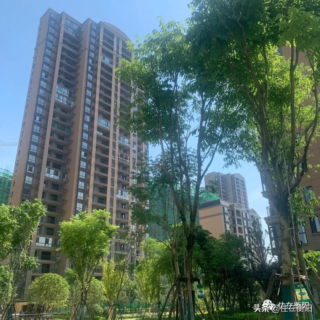 鉴盘⑤丨当年需验资20万才有资格购买的项目，如今交付了