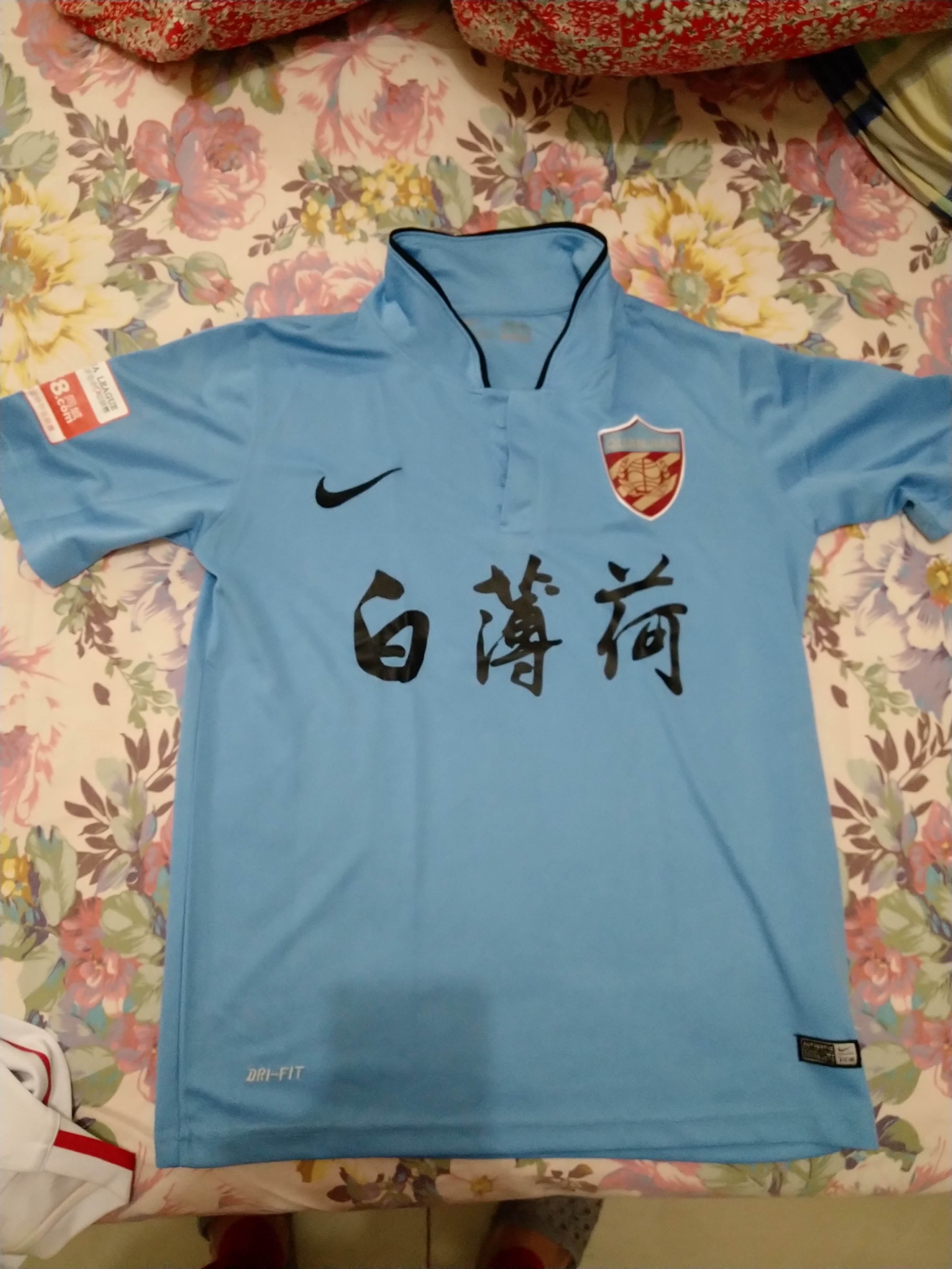 天津球迷球场起哄,2009年中国天津球迷
