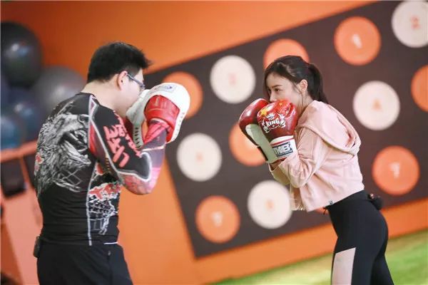 包文婧请保姆,包文婧家政