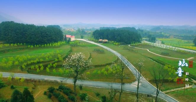 遵义最美乡村旅游图,遵义周边乡村旅游的地方