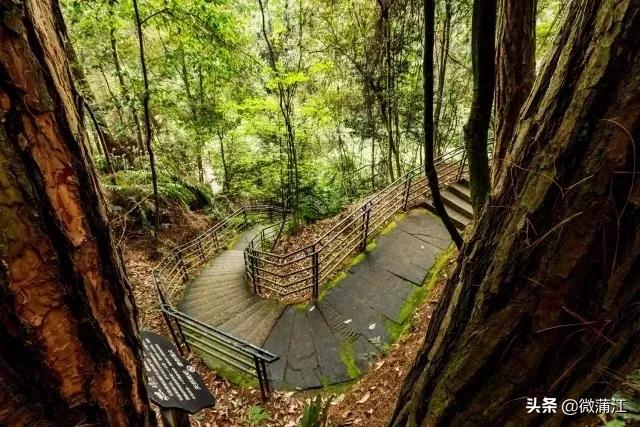 石象湖优惠,石象湖景区3月8号门票优惠吗