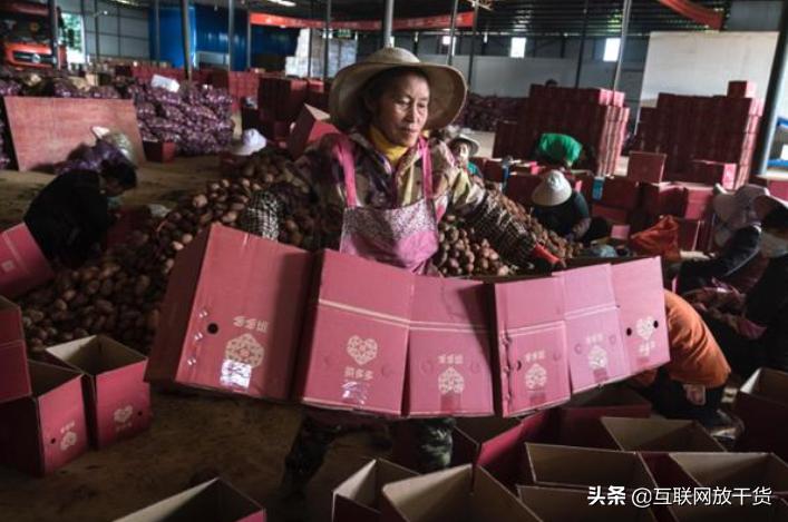 拼多多低价产品的意义,拼多多买的洋葱怎么样