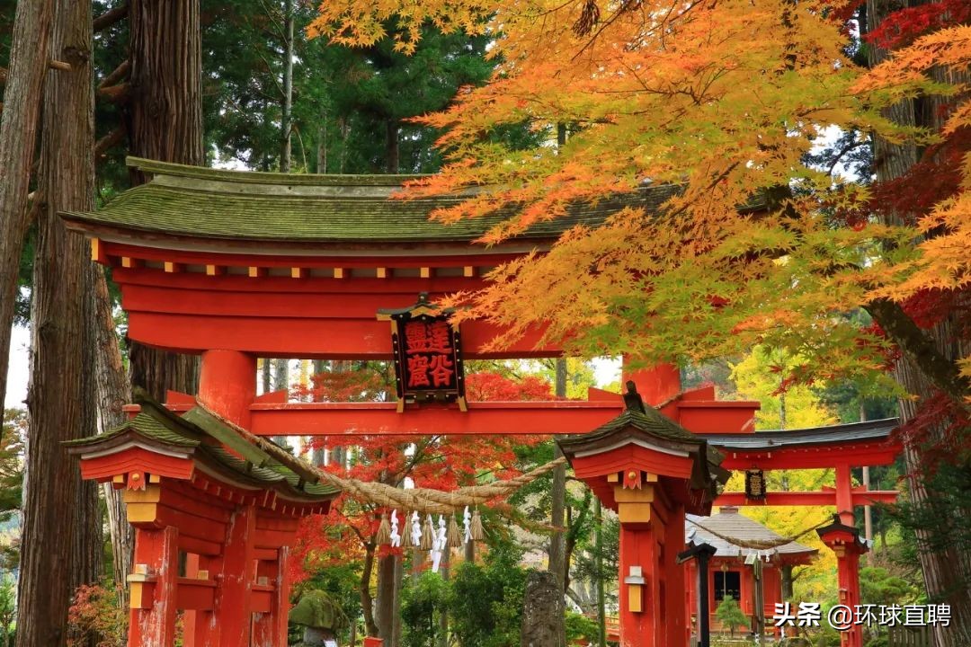 疫情中唯一没有失守的岩手县，你真的没有好好认识过它！