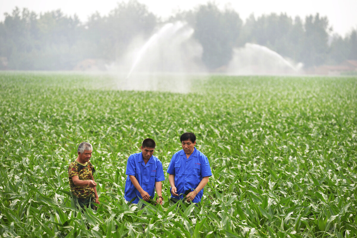 农商银行创业贷怎么申请,有逾期可以申请创业贷款吗