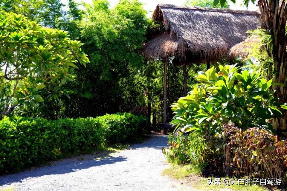 泰国风情之旅完整版,泰国风情记