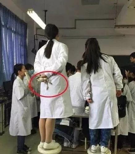 远离学医的女生,女朋友是学医的不要招惹她