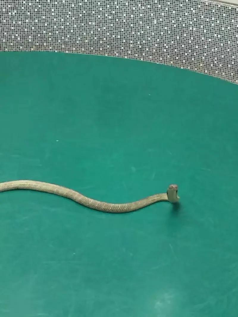 来普吉岛后感觉好难受,普吉岛最后一天购物