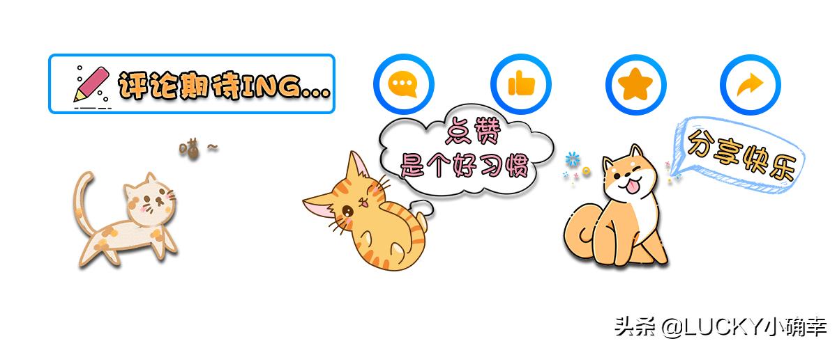 猫咪抓挠怎么处理,猫咪错了怎么惩罚